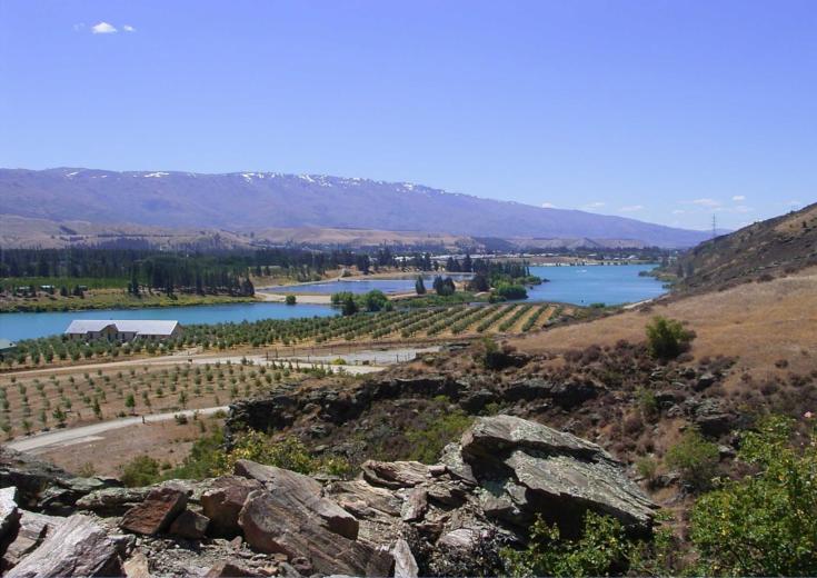Cromwell basin with the olive grove in the mid ground