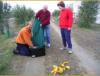 Emptying the olives from the nets