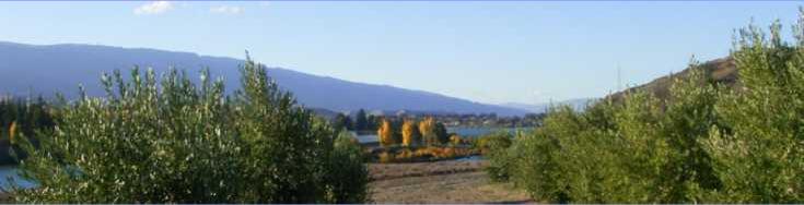 A view looking north through the grove